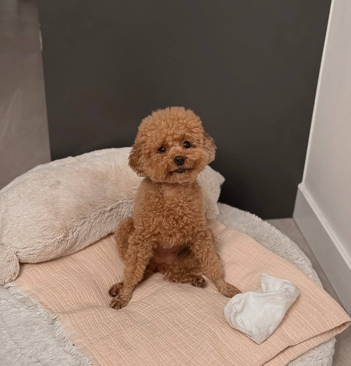 Honey - Image 2