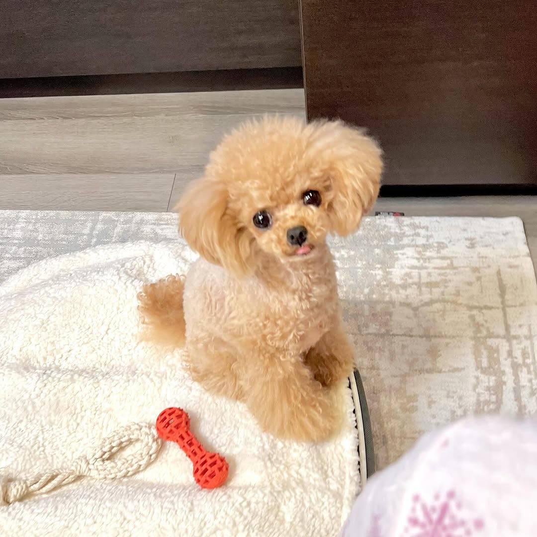 Rosie - Image 3